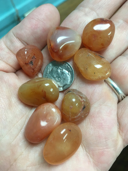 Tumbled Carnelian Crystal