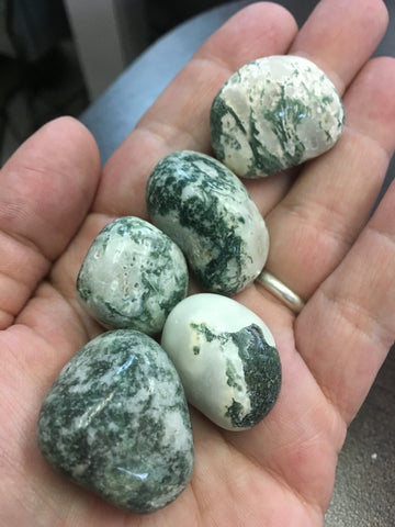 Tree Agate Large - Heart Chakra - Taurus - Reiki - Energy Healing