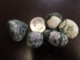 Tree Agate Large - Heart Chakra - Taurus - Reiki - Energy Healing