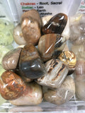 Petrified Wood Tumbled