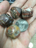 Rhyolite Tumbled Rainforest Jasper