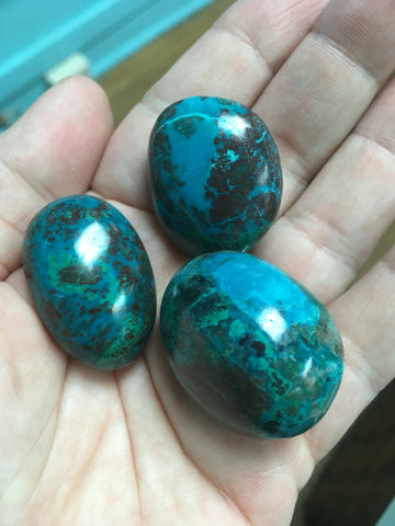 Premium Tumbled Chrysocolla Large