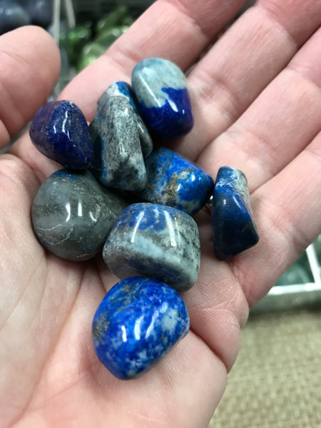 Lapis Lazuli small Tumbled premium -Throat chakra - Reiki -Energy Healing