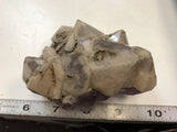 Amethyst Cluster with Quartz Overgrowth