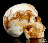 EASTERN JASPER 2.1" Carved Crystal Skull - Realistic - Crystal Healing