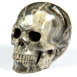 CROCODILE JASPER 2.0"Carved Crystal Skull - Realistic - Crystal Healing