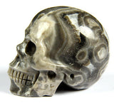 CROCODILE JASPER 2.0"Carved Crystal Skull - Realistic - Crystal Healing