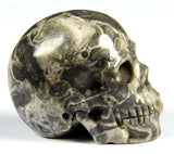 CROCODILE JASPER 2.0"Carved Crystal Skull - Realistic - Crystal Healing