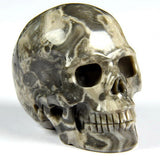 CROCODILE JASPER 2.0"Carved Crystal Skull - Realistic - Crystal Healing