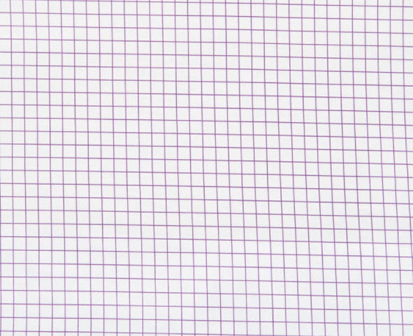 SALE Citrus - Large Check Purple Yardage by Another Point of View for Windham Fabrics - Sold by Half Yard