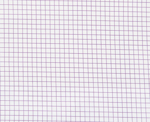 SALE Citrus - Large Check Purple Yardage by Another Point of View for Windham Fabrics - Sold by Half Yard