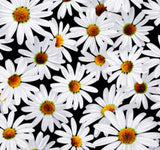 SALE Bloom with a View 10" Squares/Layer Cake By Kanvas Studio For Benartex - 42, 10 inches X 10 inches Precut Fabric Squares