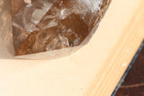Smoky Quartz Crystal Point || Smoky Quartz || Standing Smoky Quartz || Healing Crystal || Crystal Grid || Altar Crystal || Crystal Gift