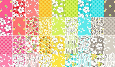 Mojito Charm Pack by Another Point of View for Windham Fabrics - 42, 5 inch Precut Fabric Squares