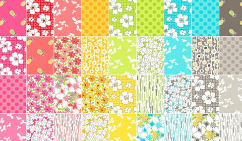 Mojito Charm Pack by Another Point of View for Windham Fabrics - 42, 5 inch Precut Fabric Squares