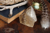 Citrine Crystal Point 280g || Grade AA Citrine || Standing Citrine Crystal || Healing Crystal || Crystal Grid || Altar Crystal || Reiki