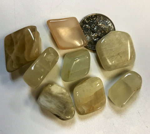Tumbled Moonstone Small