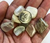 Tumbled Moonstone Small