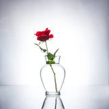 Submersible Red Rose  Floral Wedding Centerpiece with Floating Candles and Acrylic Crystals Kit