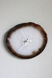9.25" Natural Agate Slab Wall Clock