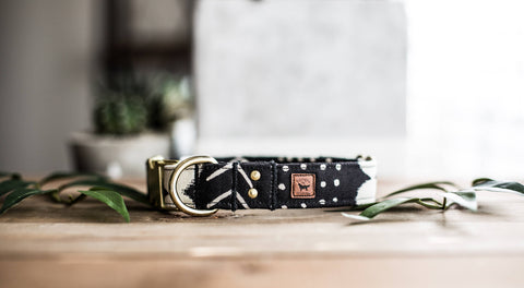 Trendy Dog Collar | Black and Gold Dog Collar | Dog Collar | Preppy Dog Collar | Pet Collar | Girl Dog Collar | Boy Dog Collar