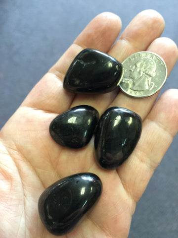 Shungite Tumbled