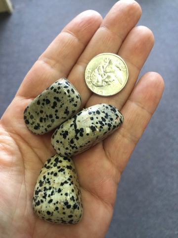 Dalmation Stone Jasper Tumbled