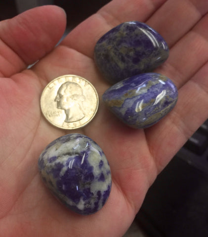 Sodalite Tumbled Grade A Large